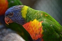 Kids_DZooWGMum (158)